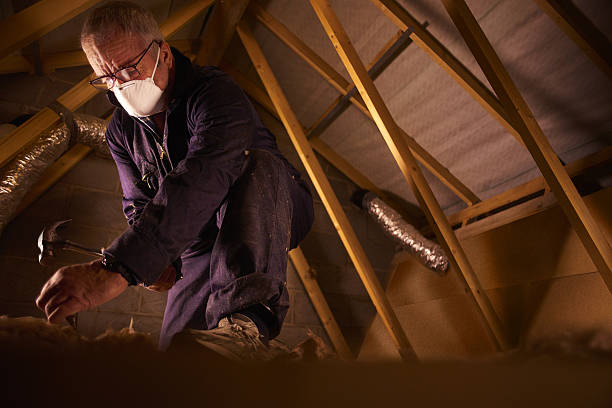 Best Specialty Insulation in Dewitt, IA